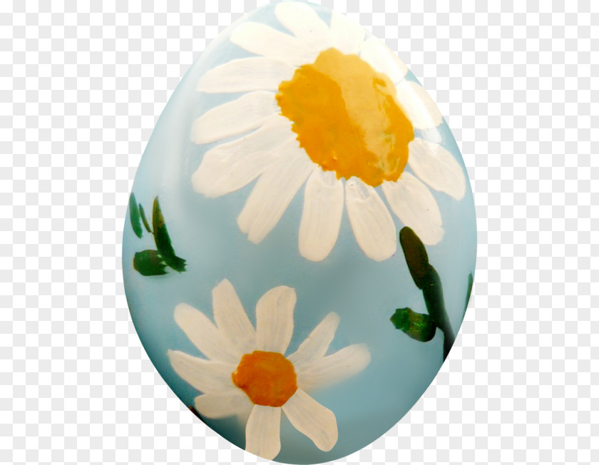 Egg Painting PNG