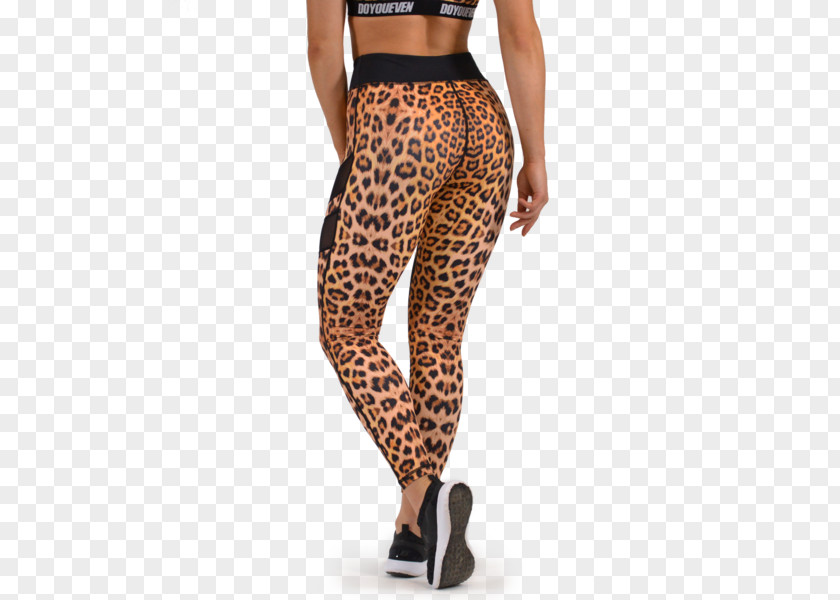 Leopard Leggings Cheetah Animal Print Yoga Pants PNG