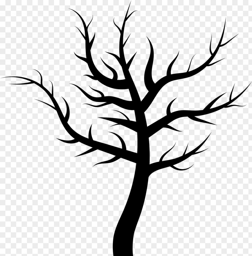 Trunk Drawing Tree PNG