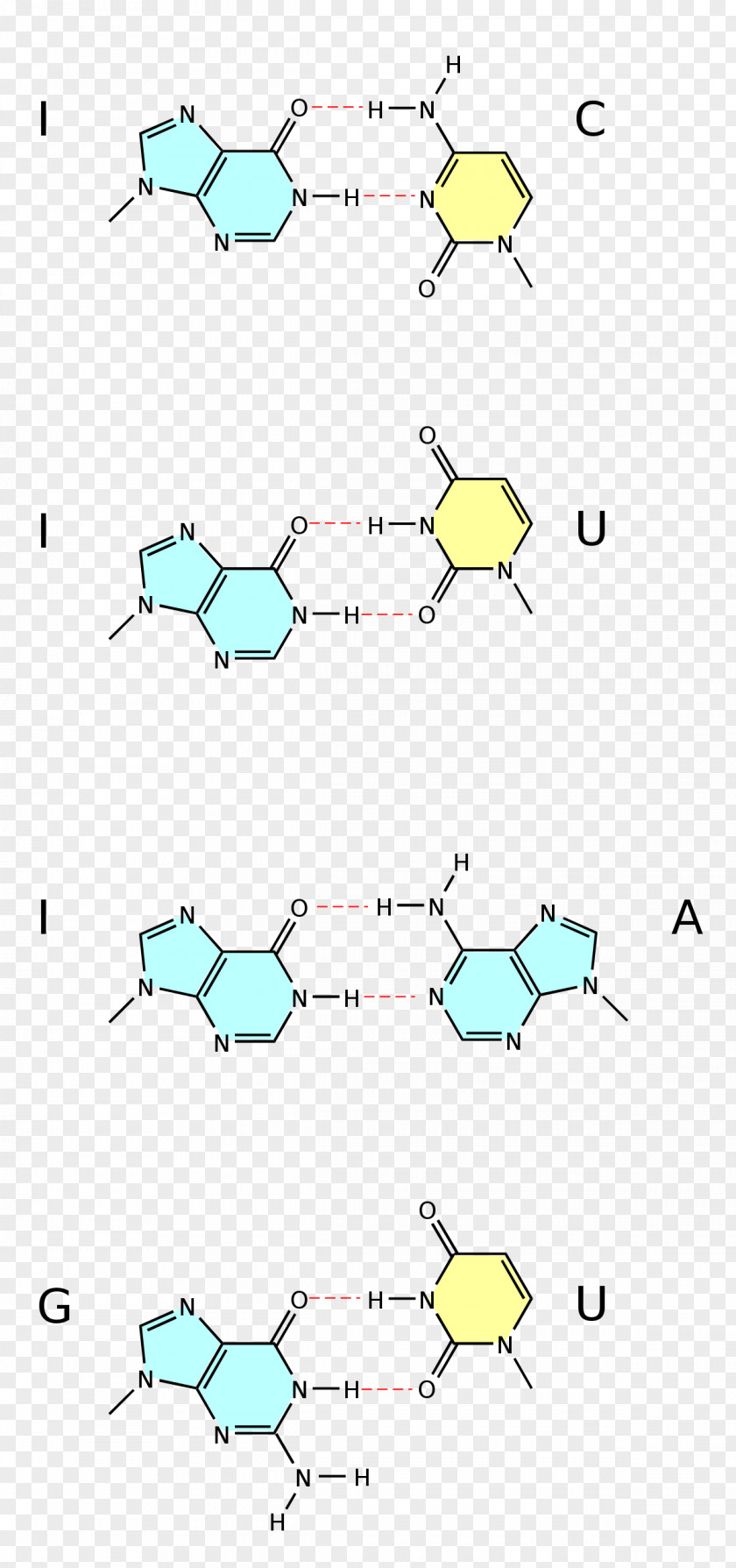 Wobble Base Pair Uracil DNA Nucleic Acid Double Helix PNG