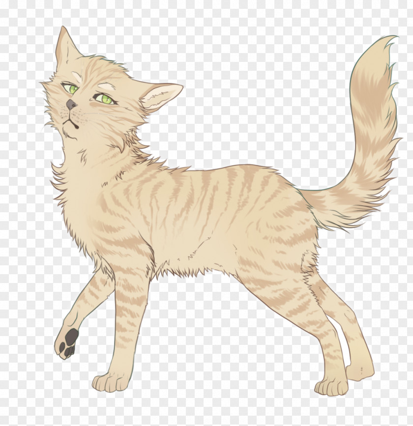 Cat Sandstorm Firestar Warriors Erin Hunter PNG