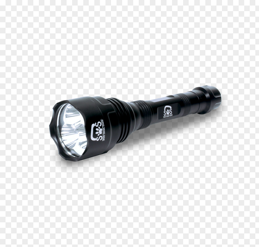 Flashlight Lantern Blacklight Light-emitting Diode PNG