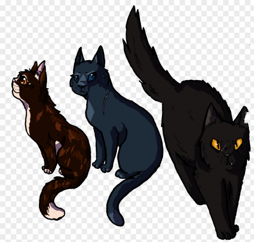 Kitten Black Cat Warriors Whiskers PNG