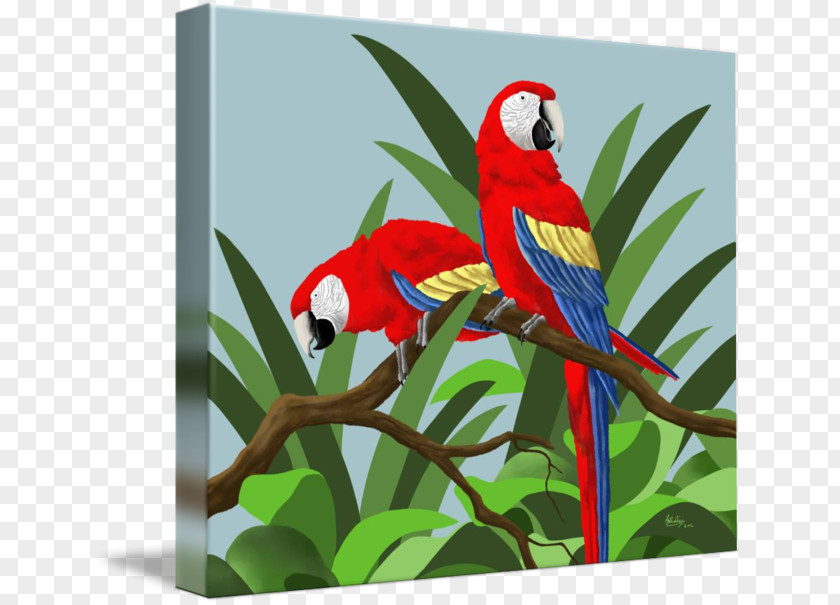 Parrot Budgerigar Scarlet Macaw Blue-and-yellow PNG