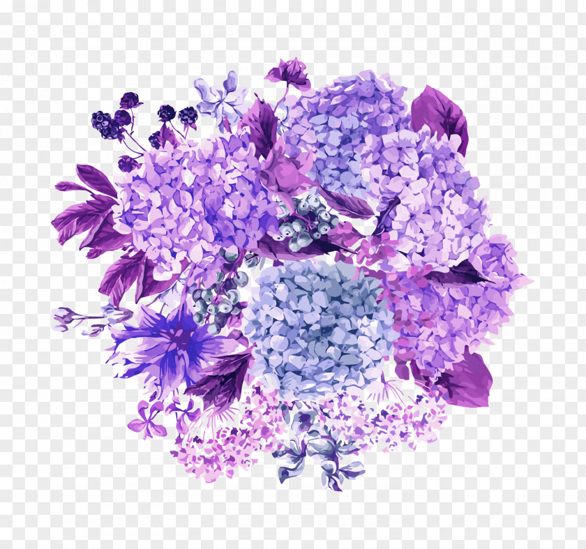 Vector Hydrangea PNG