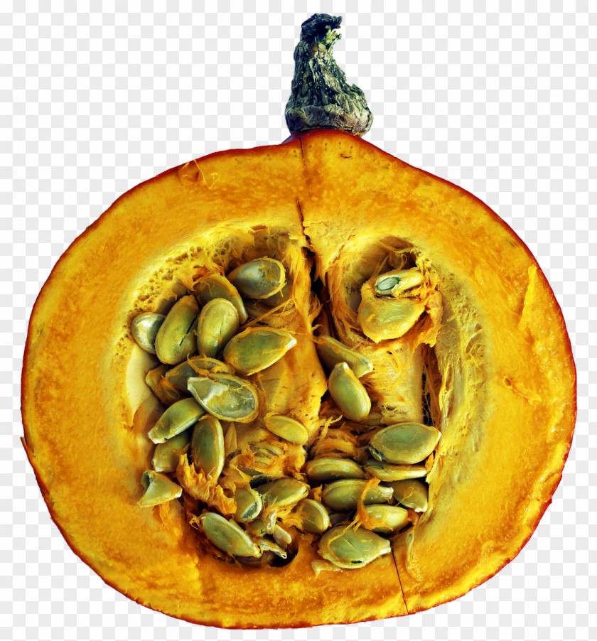 Vegetable Pumpkin Pie Cucurbita Food PNG