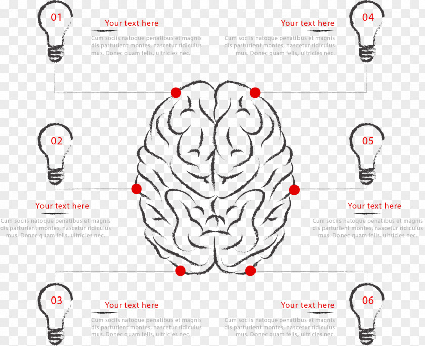 Brain Bulb Label Classification Human Agy Infographic Euclidean Vector PNG