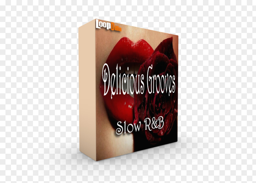 Delicious Book Brand Font PNG