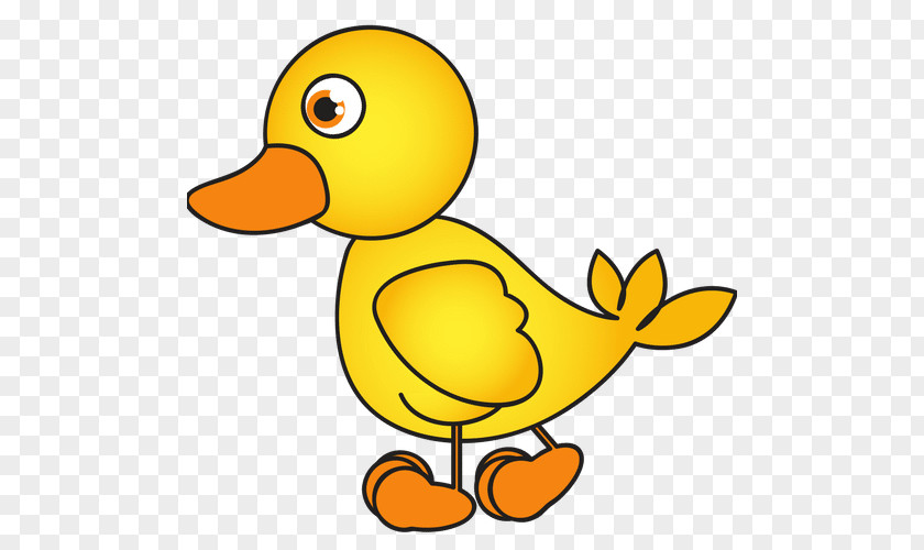 Duck Call Drawing Mallard PNG