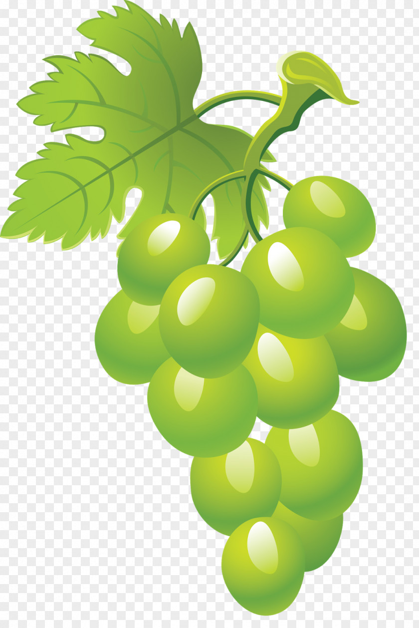 Juice Fruit Grape Clip Art PNG