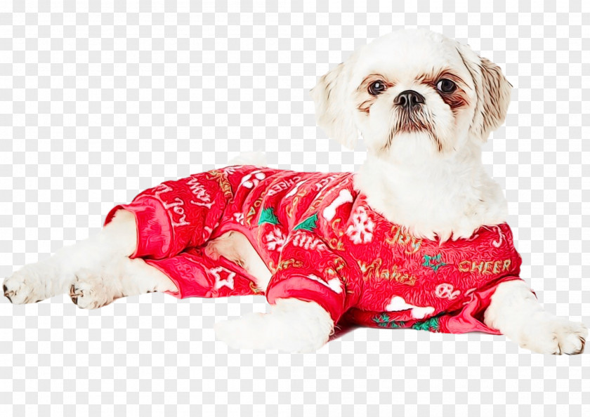 Lhasa Apso Dog Supply Clothes Shih Tzu Breed Puppy PNG