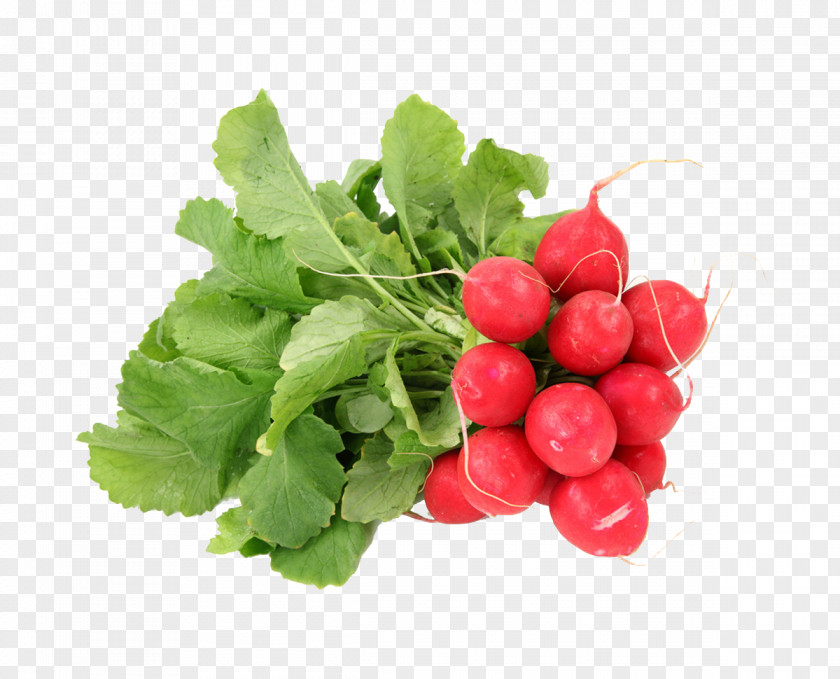 Carrot Vegetables Daikon Raw Foodism Vegetable Fruit PNG