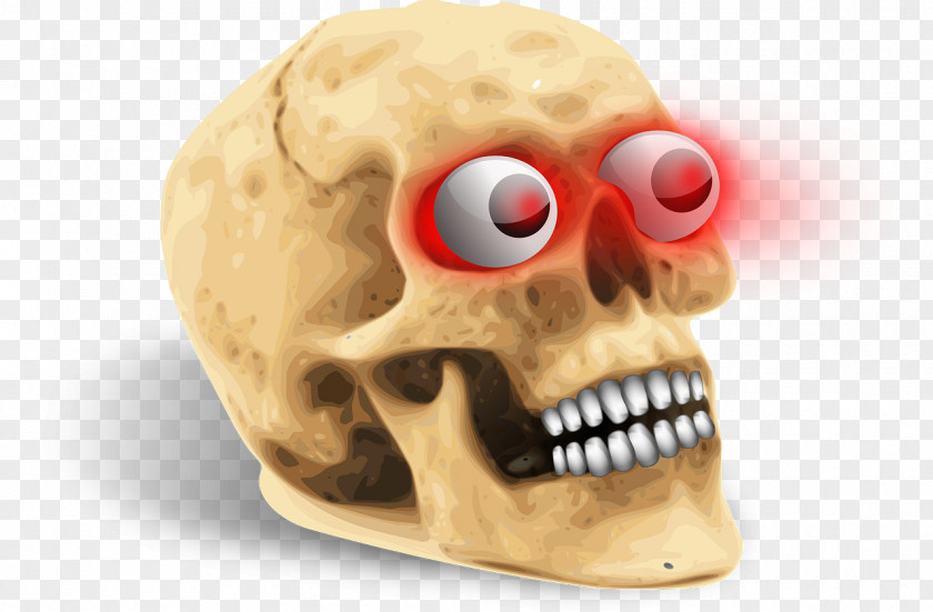 Death Human Skull Symbolism Skeleton PNG