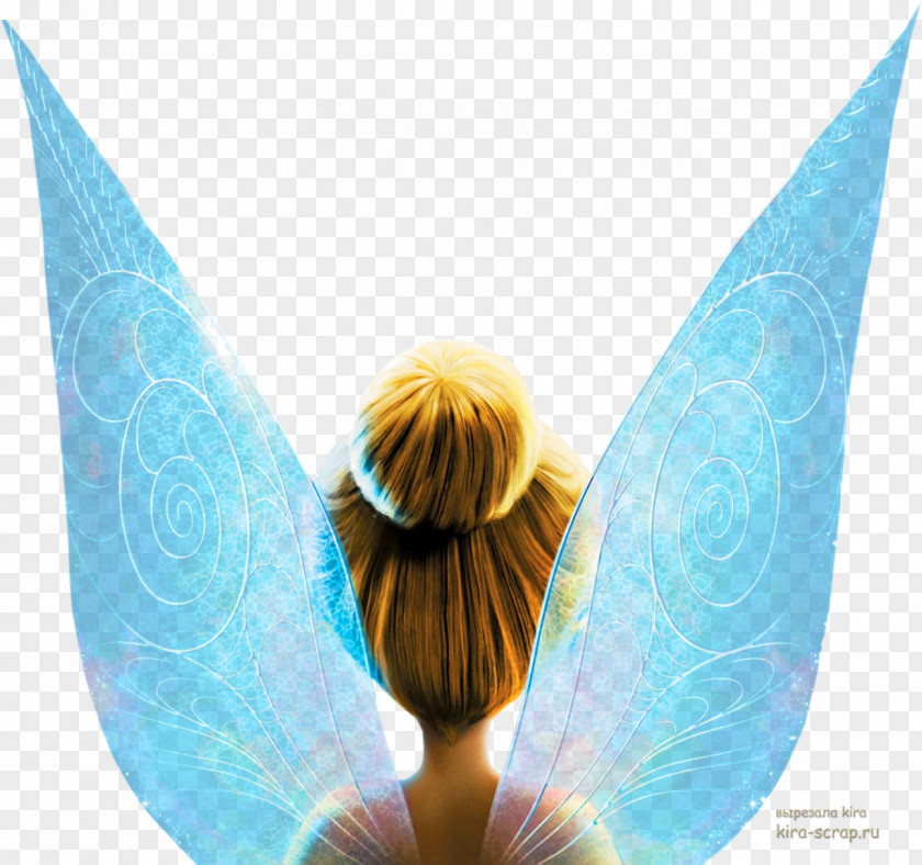 Fairy Wings Tinker Bell Disney Fairies Vidia Peeter Paan Princess PNG