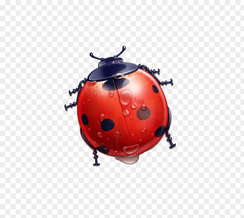 Ladybug Cartoon Pixel Icon PNG