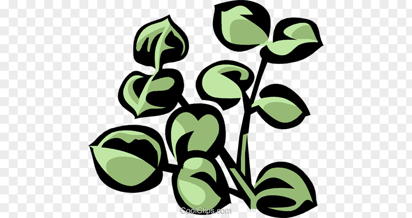 Leaf Plant Stem Flower Clip Art PNG