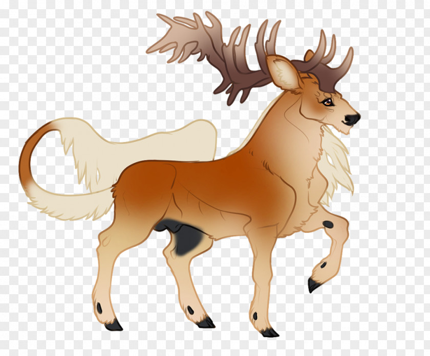Reindeer Cattle Horn Wildlife Clip Art PNG