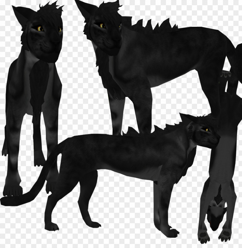Cat Black Feral Panther Rough Collie PNG