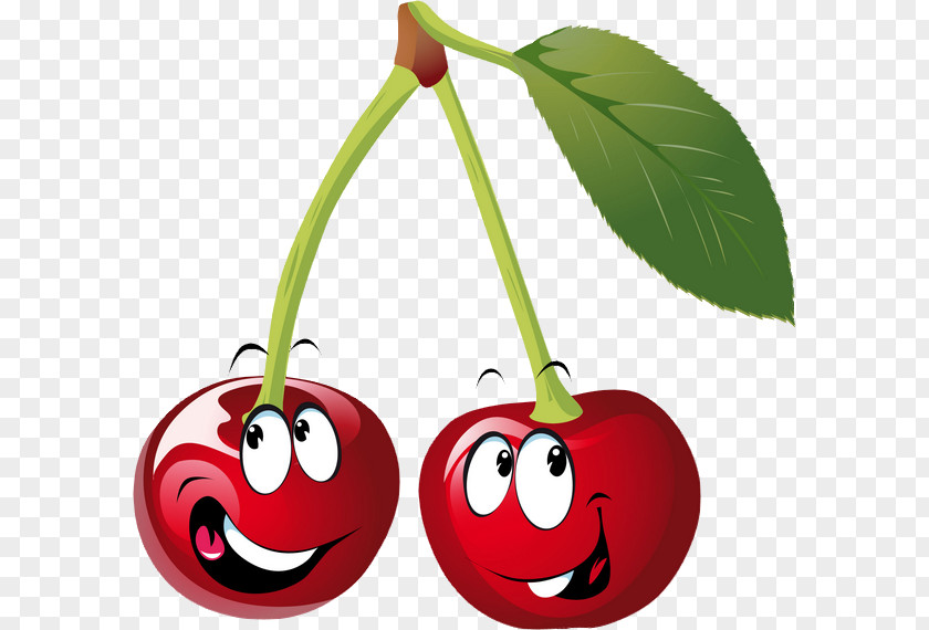 Cherry Clip Art PNG