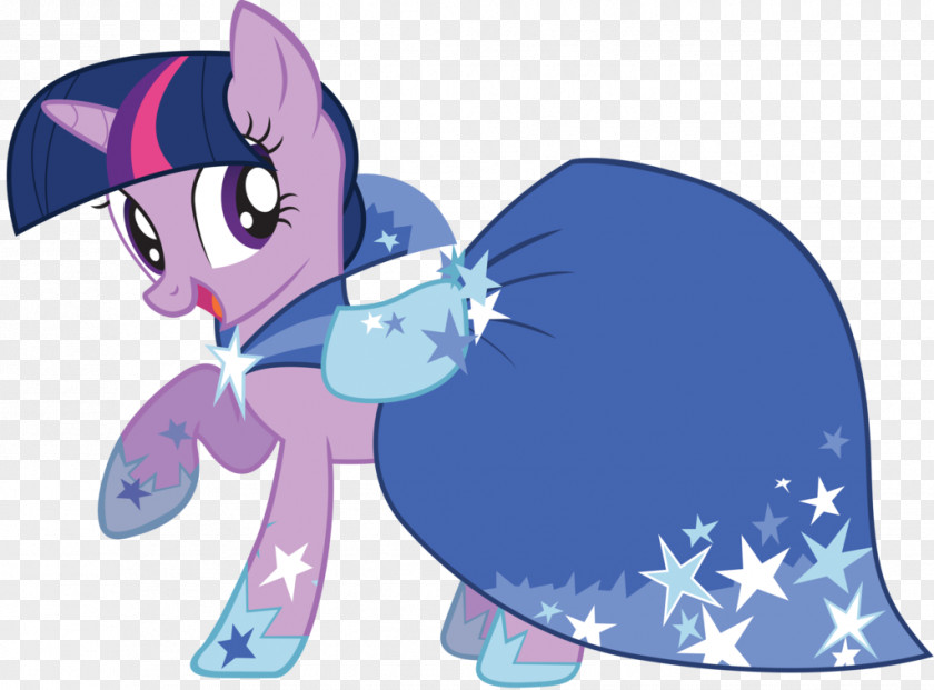 Dress Twilight Sparkle Rarity Rainbow Dash Pinkie Pie Applejack PNG