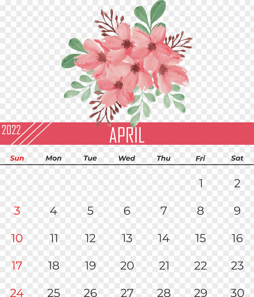 Floral Design PNG