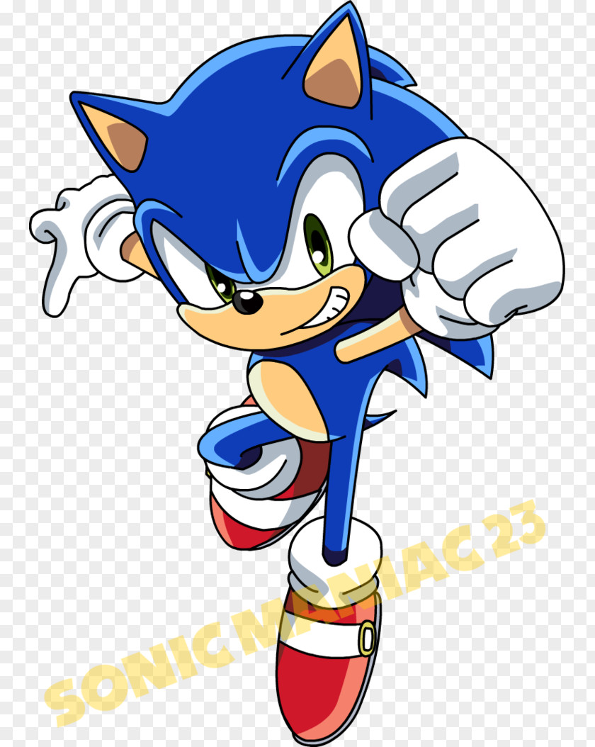 Maniac Sonic Colors The Hedgehog Shadow Amy Rose Chaos PNG