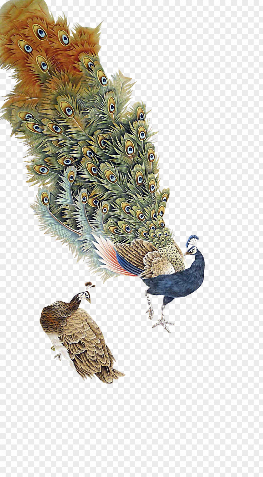 Antique Peacock Graphic Design Peafowl PNG