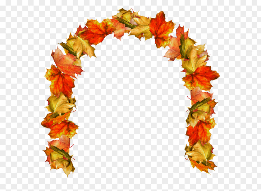 Autumn Floral Design Clip Art PNG