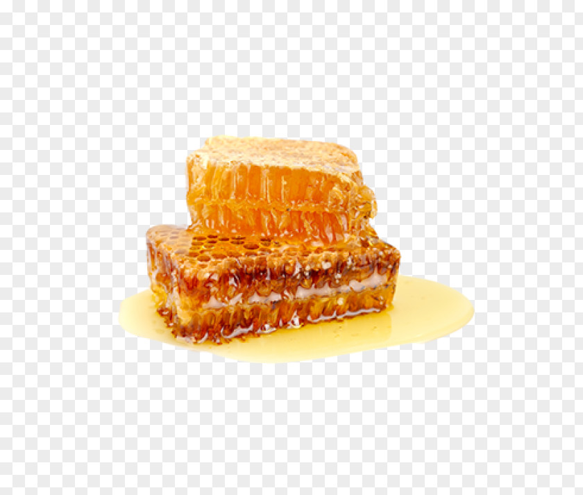 Bee Beeswax Comb Honey Honeycomb PNG