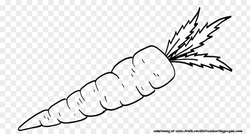 Carrot Black And White Clip Art PNG