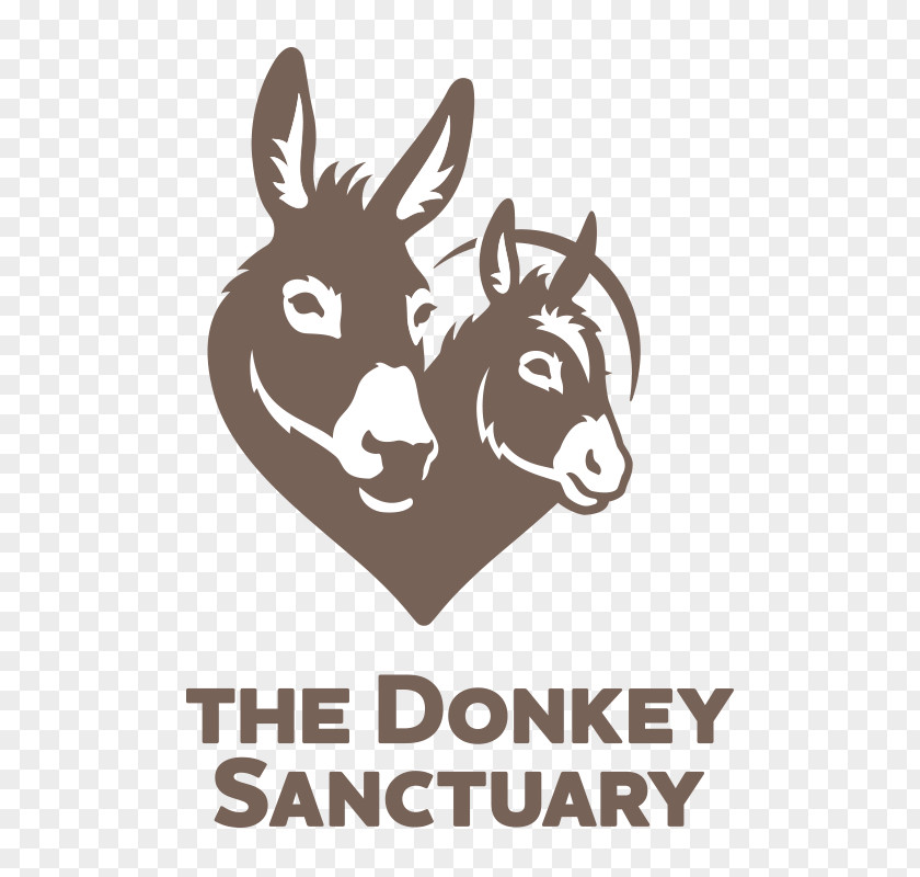 Donkey The Sanctuary Animal Mule Sidmouth PNG