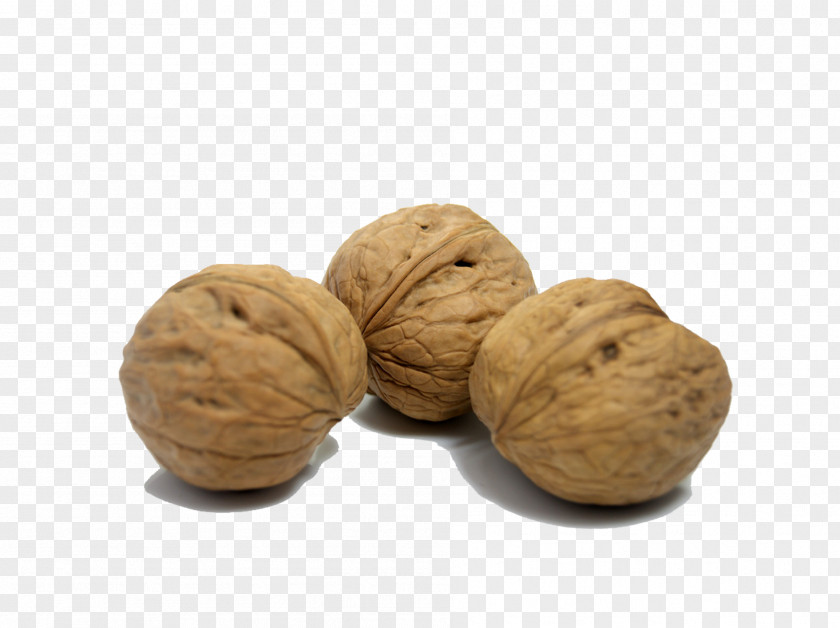 Nutrition Walnut English Eating PNG