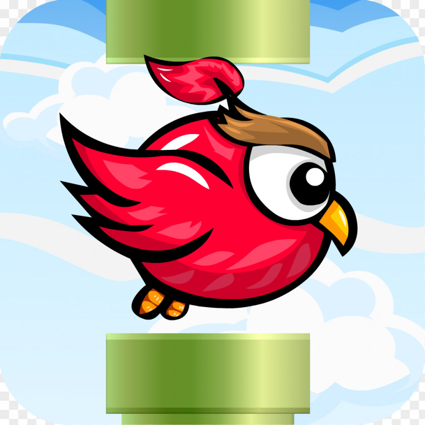 Angry Bird Beak Clip Art Illustration Chicken As Food PNG