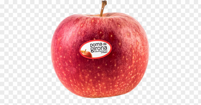 Apple Poma De Girona Adierazpen Geografiko Babestua Accessory Fruit Denominación Origen PNG