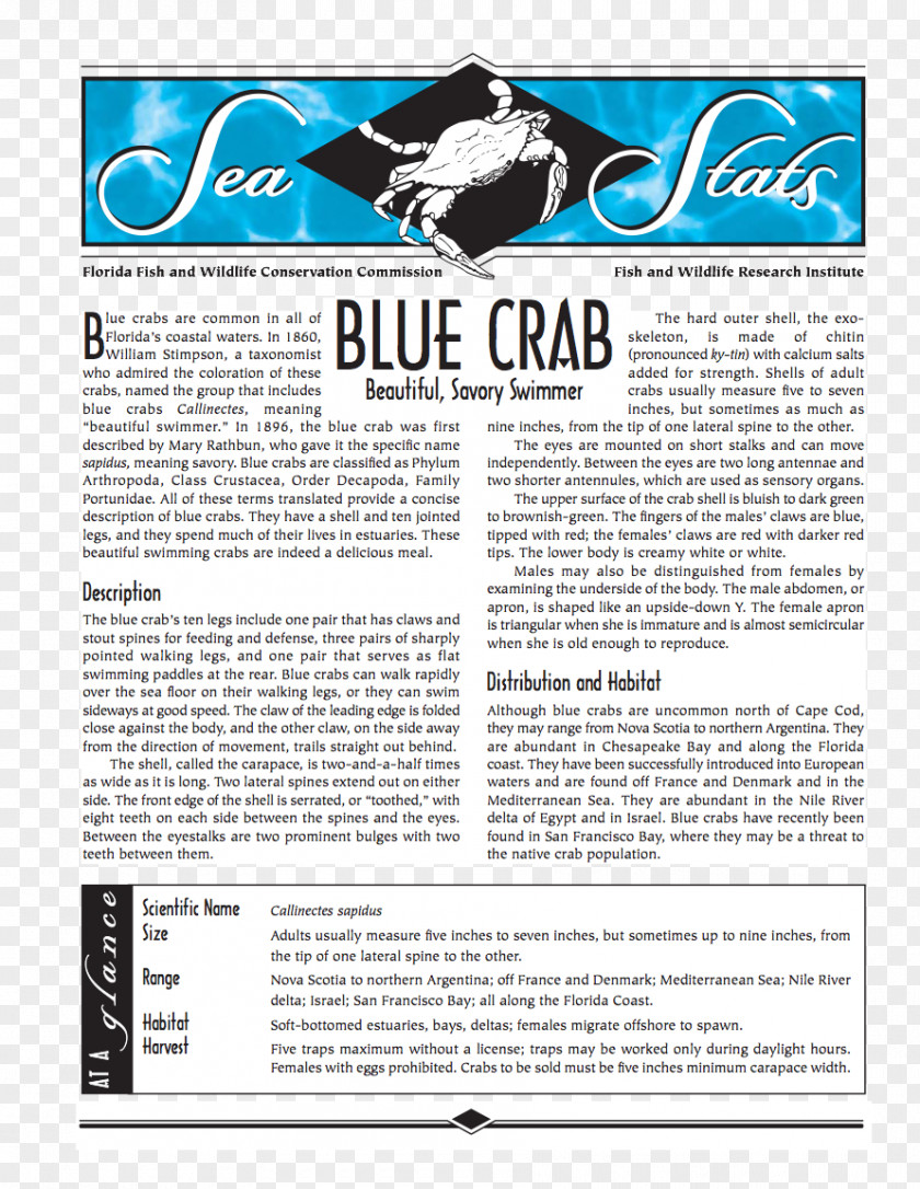 Blue Crab Magazine Font PNG