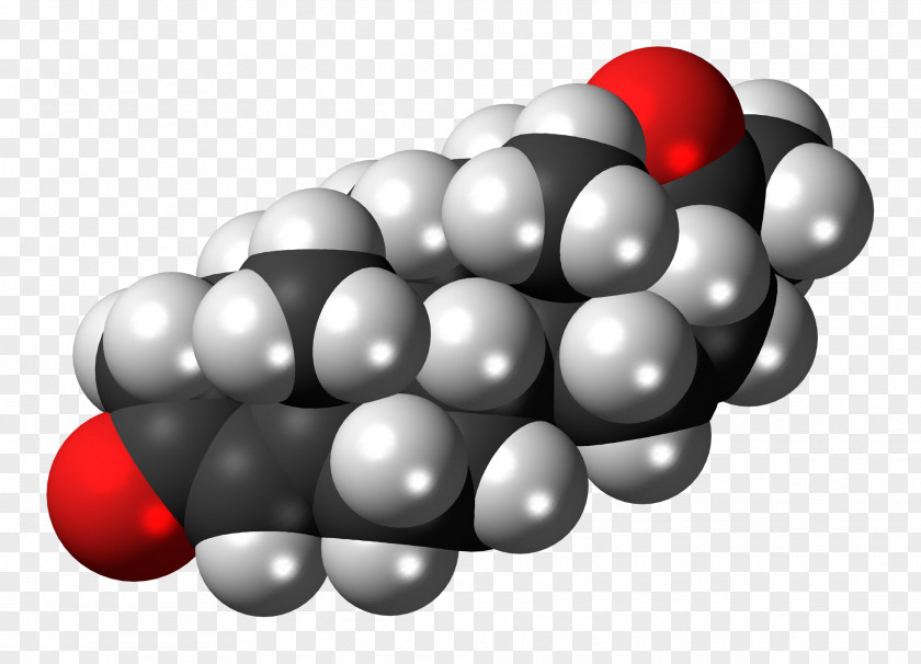 Molecule Estradiol Estrogen Space-filling Model Steroid Progesterone PNG