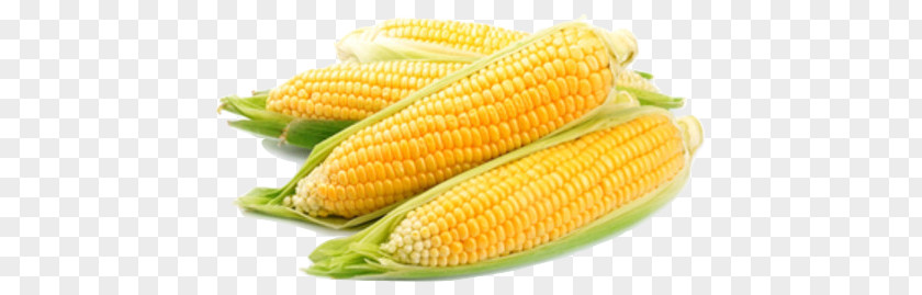 Popcorn Corn On The Cob Organic Food Sweet Maize Candy PNG