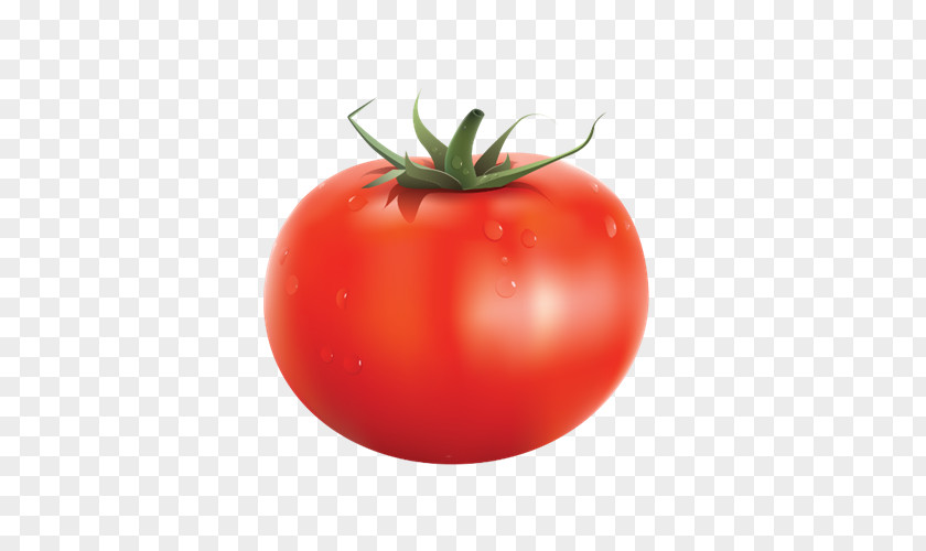 Vegetable Organic Food Tomato Juice PNG