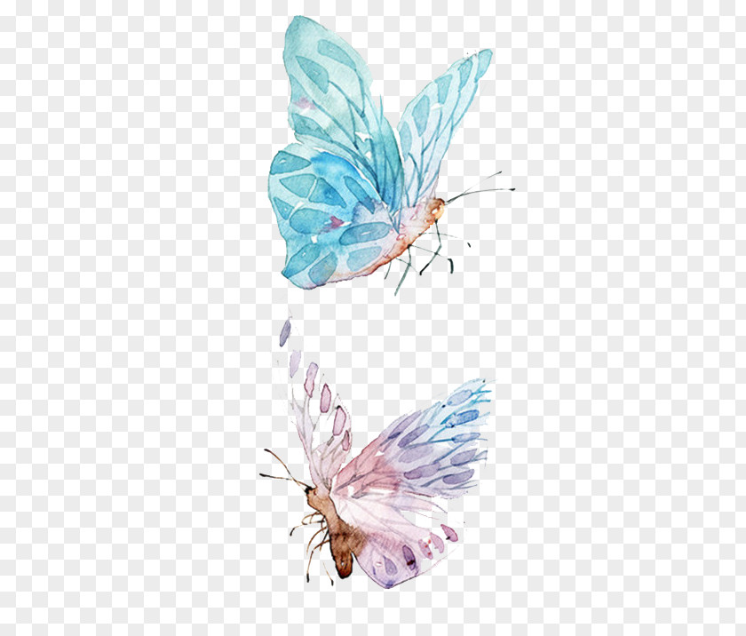 Watercolor Butterfly Paper Painting Drawing PNG