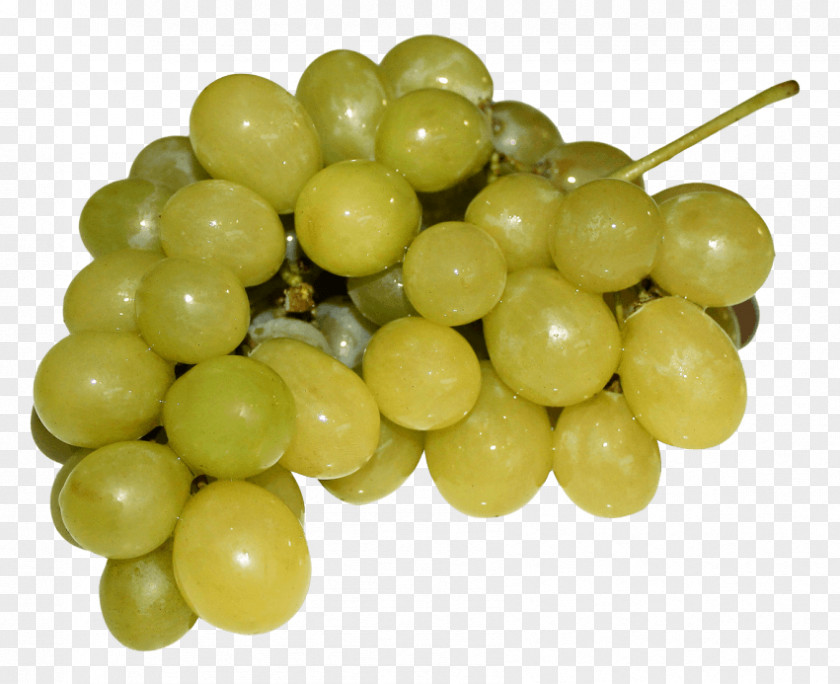 Wine Sultana Common Grape Vine Concord PNG