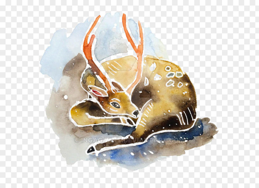 Deer Watercolor 9 December Christmas PNG