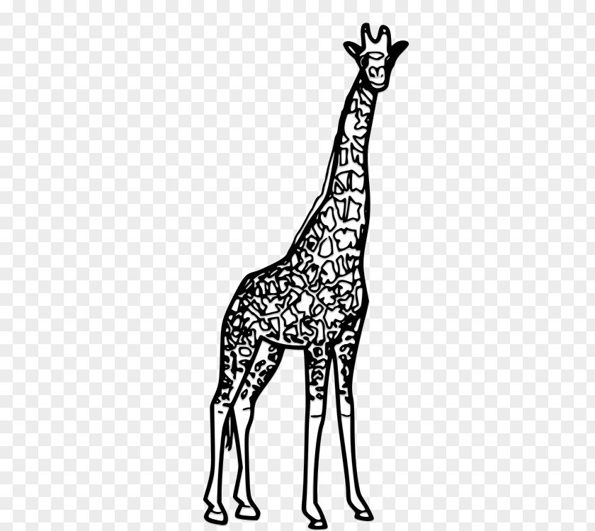 Giraffe Black And White Drawing Clip Art PNG