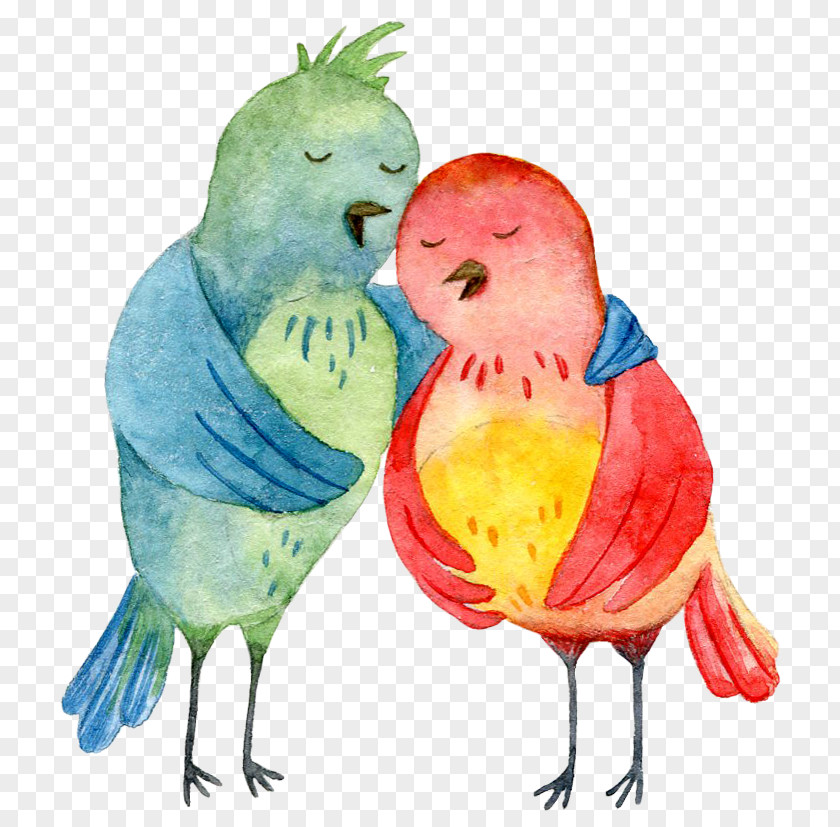 Hand-painted Birds Lovebird Feather Watercolor Painting Illustration PNG