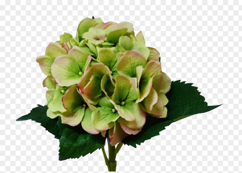 Hydrangea Cut Flowers Flower Bouquet Artificial PNG