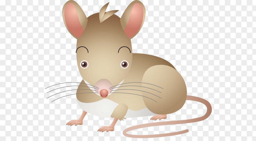 Mouse Computer Rat Mickey Magic PNG