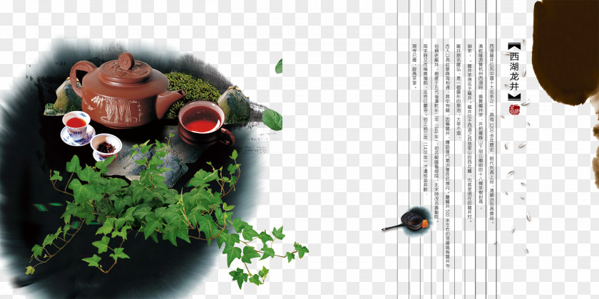Tea Cultural Propaganda Green Oolong Black Japanese Ceremony PNG
