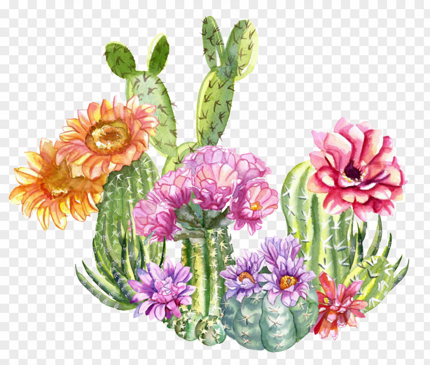 Bloesem Cartoon Cactos/Cactus Floral Design Paper Succulent Plant PNG