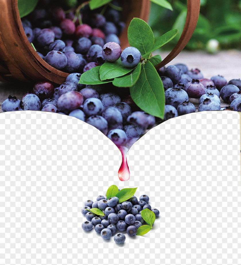 Blueberry Wine Posters Bilberry Fruit Antioxidant PNG