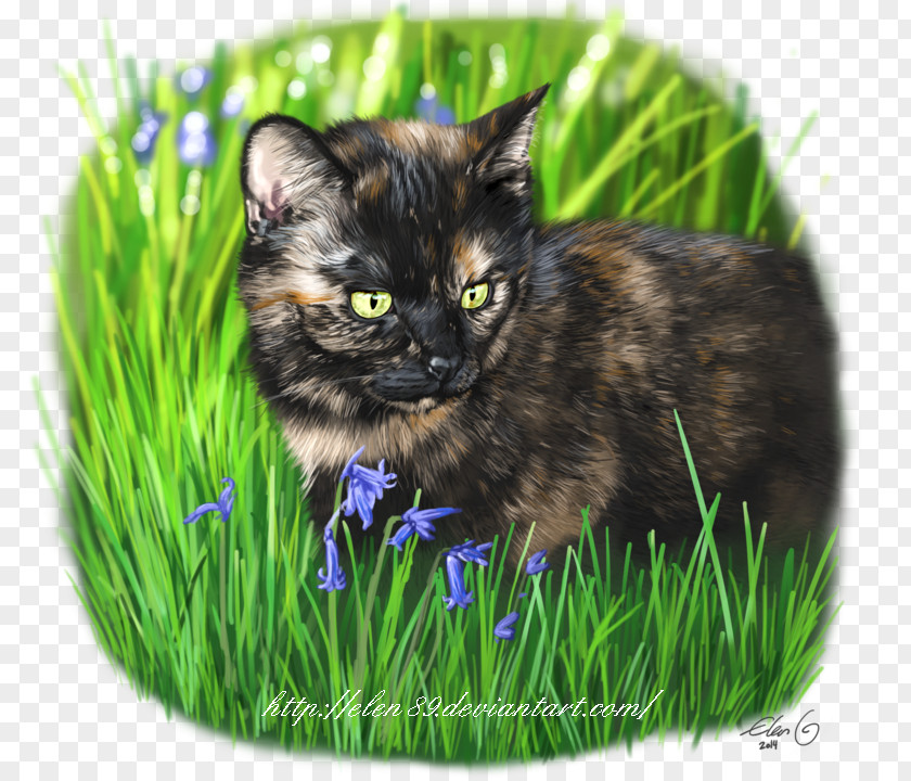 Cat Whiskers Domestic Short-haired Fauna Snout PNG