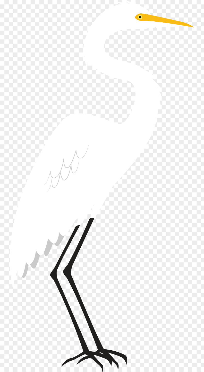 Crane Flat Paper White Shoe Beak PNG